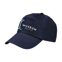 navy (± PMS 282)