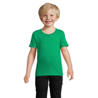 Helder Groen
