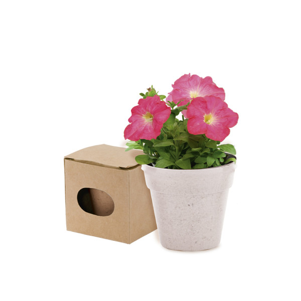 Bloempot Advert