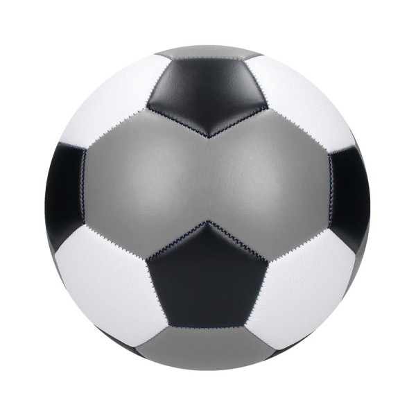 Voetbalkampioen